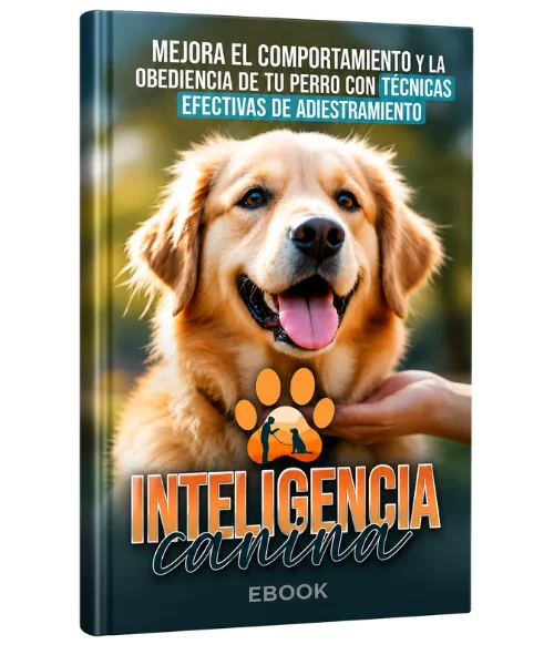 CÓMO ENSEÑAR A TUS ESTUDIANTES A LEER Y A ESCRIBIR EN EL PRIMER TRIMESTRE (7)